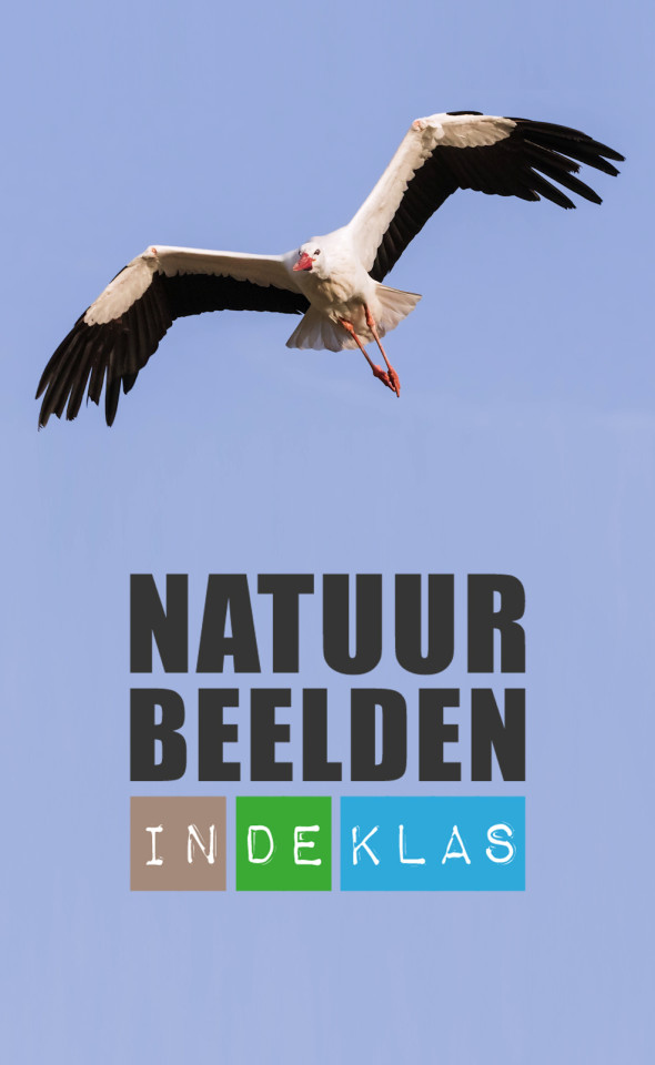 Ga naar Natuurbeelden in de klas