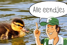 Alle eendjes | groep 1-4