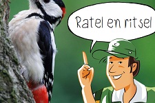 Ratel en ritsel | groep 1-4
