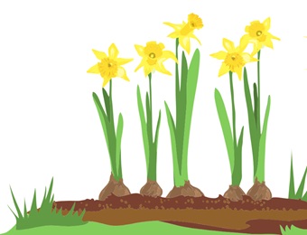 Timer lente