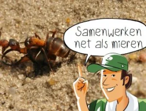 Ontdek de lente bij jou in de buurt